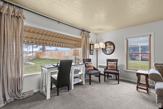 162 S 3 E, Preston, ID 83263 - office featuring carpet flooring, plenty of natural light, baseboards, and a textured ceiling