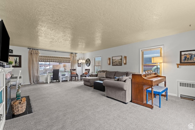 162 S 3 E, Preston, ID 83263 - carpeted living area featuring radiator, baseboards, and a textured ceiling