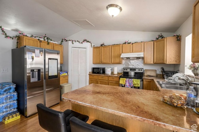 kitchen with lofted ceiling, under cabinet range hood, stainless steel appliances, a peninsula, and a sink