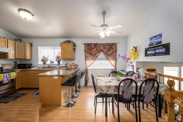 kitchen with a peninsula, light wood finished floors, stainless steel electric range oven, and a wealth of natural light