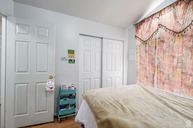 bedroom featuring a closet and wood finished floors