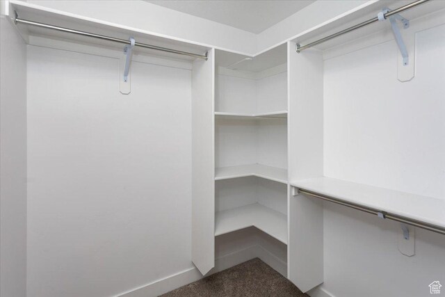1704 E Talon Way, Eagle Mountain, UT 84005 - walk in closet with carpet floors