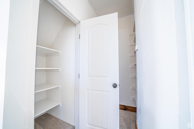 view of closet