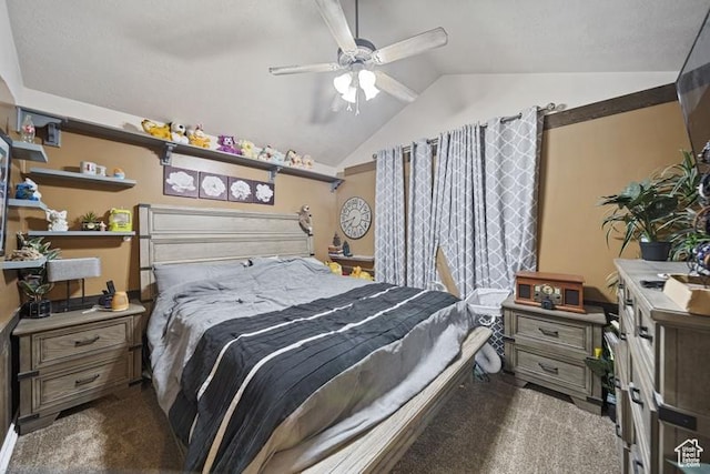 204 W Crescent View Ln N Unit 111, Tooele, UT 84074 - bedroom with ceiling fan, dark carpet, and vaulted ceiling
