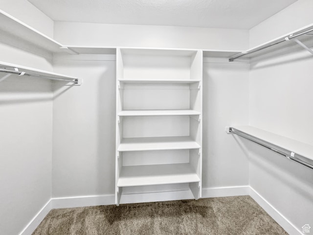 456 E 3675 N, North Ogden, UT 84414 - spacious closet featuring carpet flooring