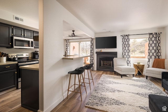 3246 E Fairway Loop, Moab, UT 84532 - living area featuring light wood finished floors, visible vents, a healthy amount of sunlight, and a fireplace
