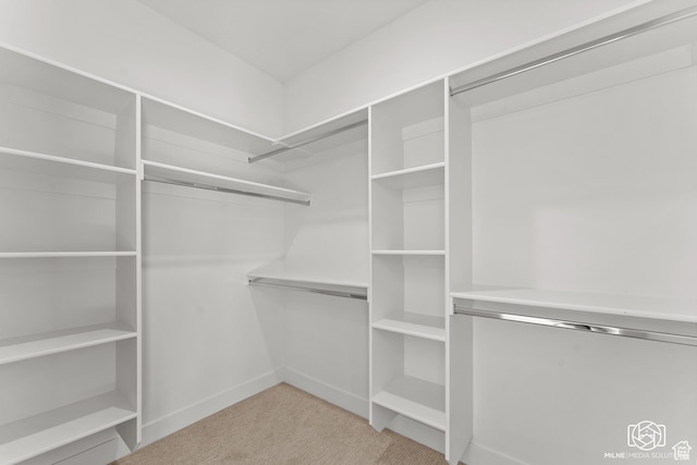 665 E 2015 N # 5E, Cedar City, UT 84721 - spacious closet with carpet flooring