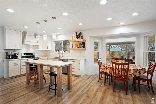 1434 Bennett Cir, Farmington, UT 84025 - kitchen featuring a sink, light countertops, appliances with stainless steel finishes, light wood-type flooring, and custom exhaust hood