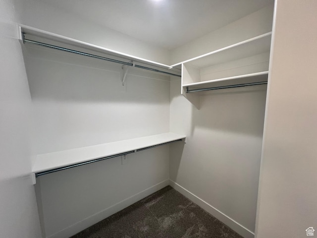 14 E 300 S, Delta, UT 84624 - spacious closet with dark colored carpet