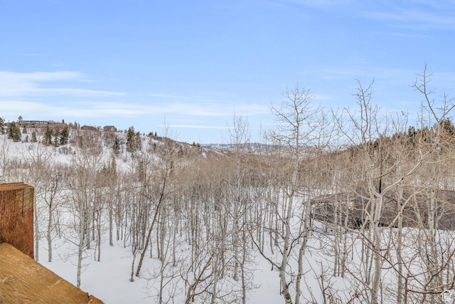 1973 W Modoc Loop, Coalville, UT 84017 - view of snow covered land