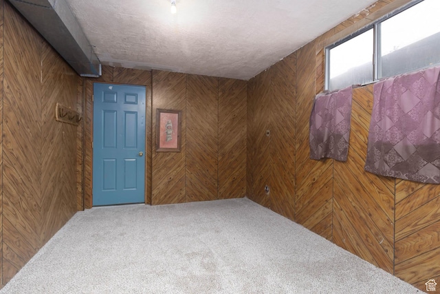 86 E 1000 S, Panguitch, UT 84759 - spare room with carpet flooring, wood walls, and a textured ceiling