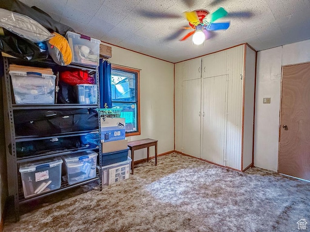 138 W 100 N, East Carbon, UT 84520 - storage area with a ceiling fan