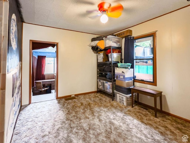 138 W 100 N, East Carbon, UT 84520 - storage room featuring ceiling fan