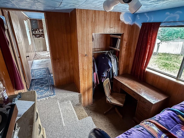 138 W 100 N, East Carbon, UT 84520 - bedroom featuring wooden walls, carpet floors, and a closet