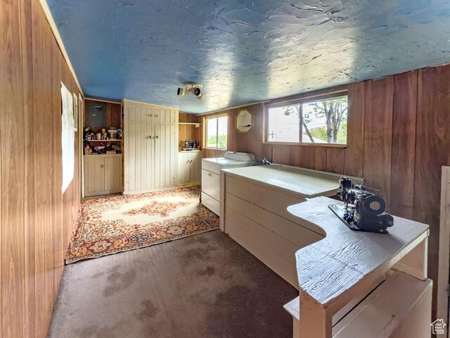 138 W 100 N, East Carbon, UT 84520 - misc room with wooden walls, light colored carpet, and washing machine and dryer