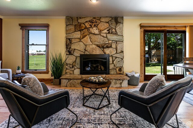 1963 E Rio Way E, Sandy, UT 84093 - living area featuring wood finished floors, crown molding, and a stone fireplace