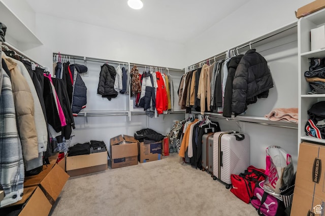 spacious closet with carpet floors