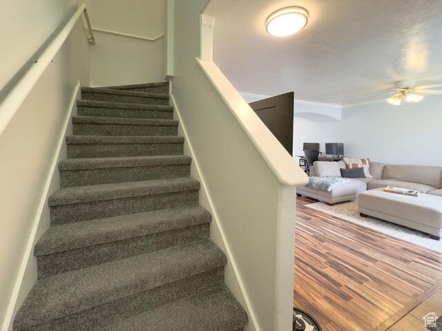 827 E 760 N, Ogden, UT 84404 - photo 13