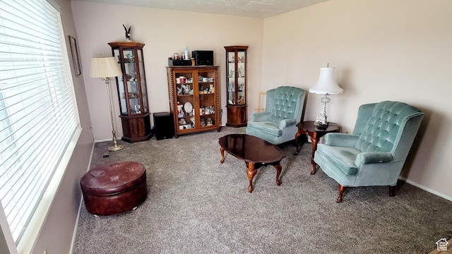 4142 S 3425 W, West Valley City, UT 84119 - sitting room featuring carpet floors and plenty of natural light