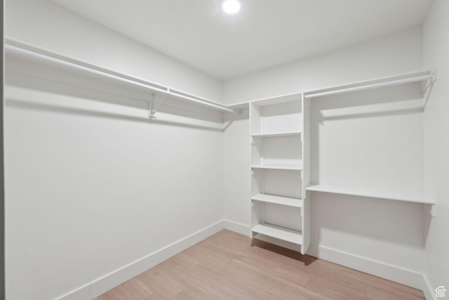 walk in closet with light wood finished floors