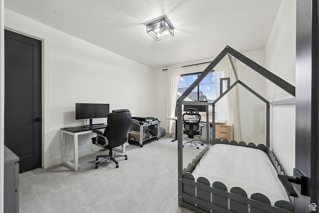 office with a textured ceiling and carpet floors