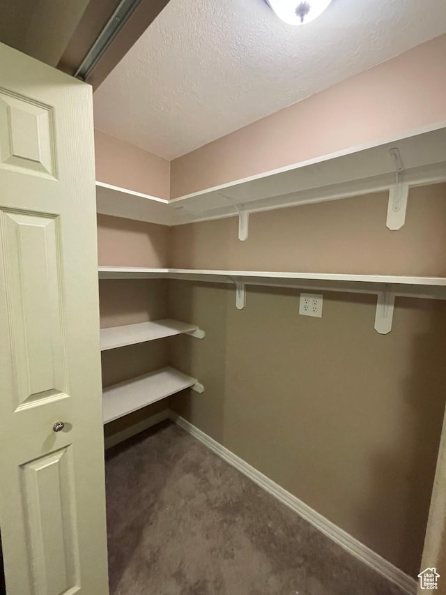 564 W 475 N, Clearfield, UT 84015 - spacious closet featuring carpet floors