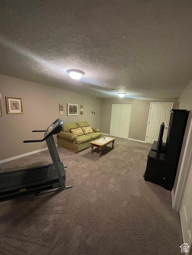 564 W 475 N, Clearfield, UT 84015 - exercise room featuring carpet, baseboards, and a textured ceiling