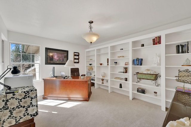 654 E 3225 N, North Ogden, UT 84414 - office area with carpet