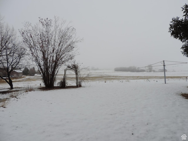 view of snowy yard