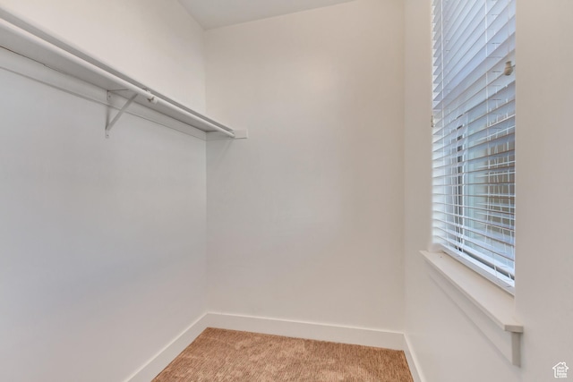 1972 Grant Ave, Ogden, UT 84401 - walk in closet with light carpet