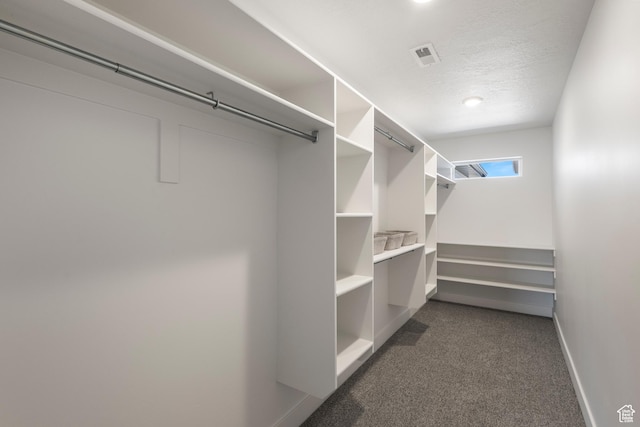 spacious closet with visible vents and dark colored carpet