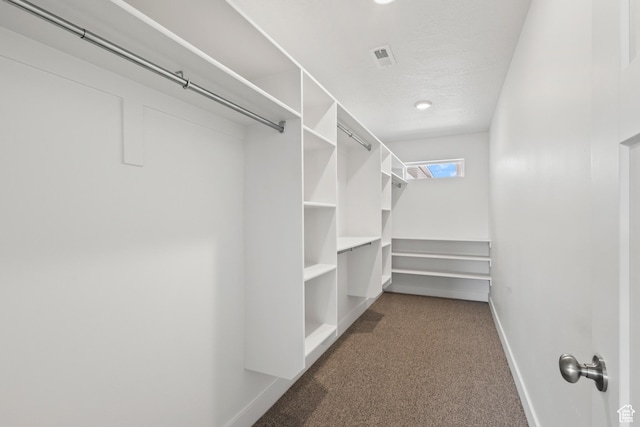 spacious closet with visible vents and dark carpet