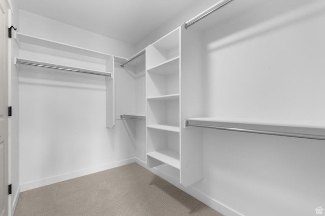 walk in closet featuring carpet floors