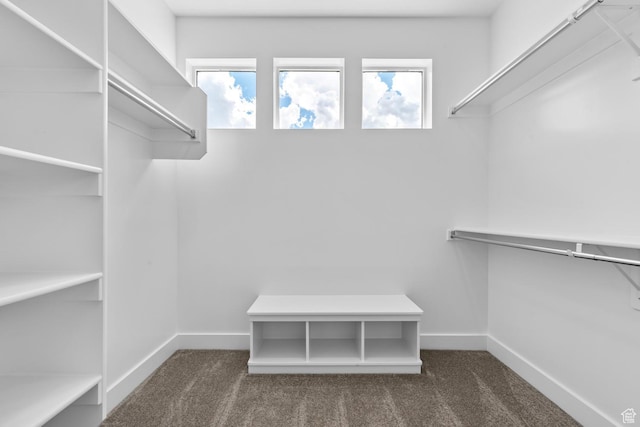 walk in closet featuring dark carpet