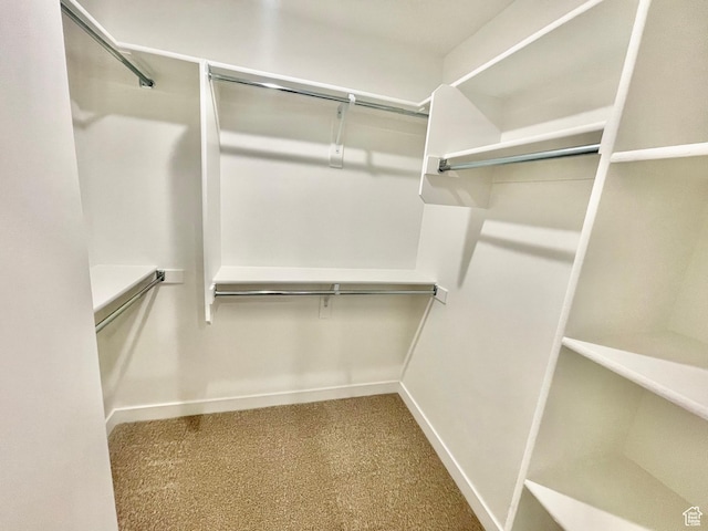 12941 S Corona Arch Ct Unit 571, Riverton, UT 84096 - spacious closet with carpet