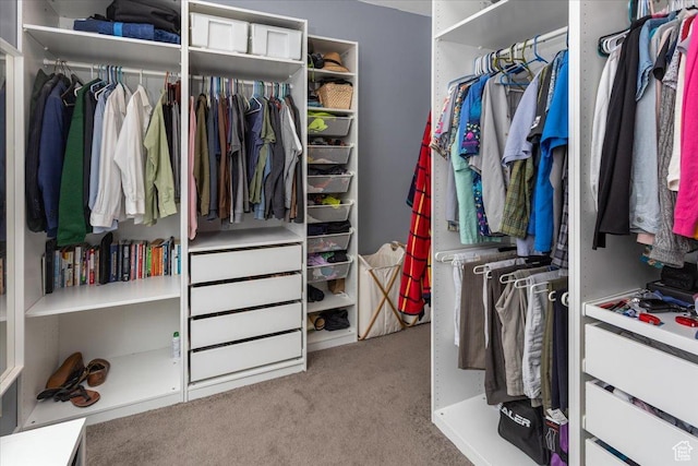 550 N 200 E, Wellsville, UT 84339 - spacious closet with carpet