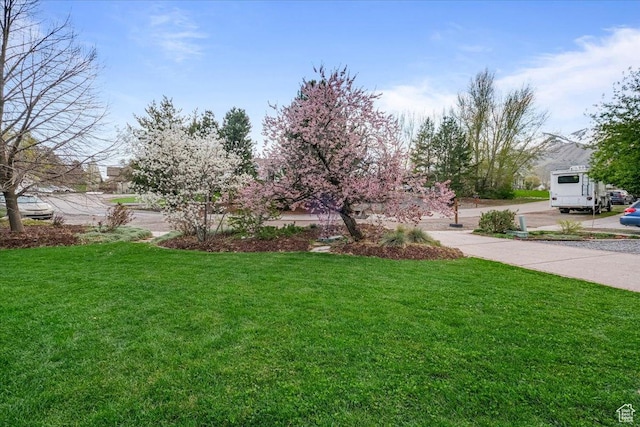 550 N 200 E, Wellsville, UT 84339 - view of yard