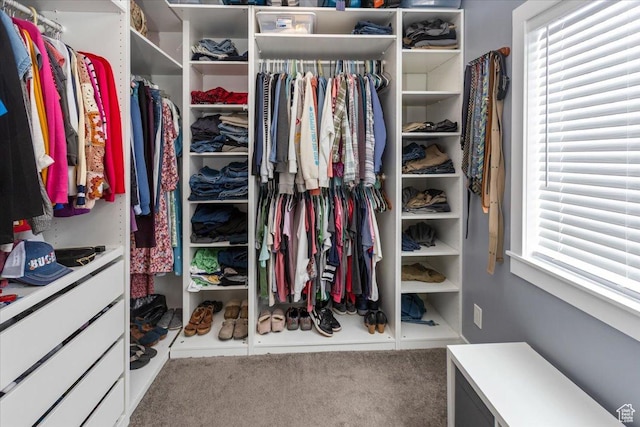 550 N 200 E, Wellsville, UT 84339 - spacious closet with carpet floors