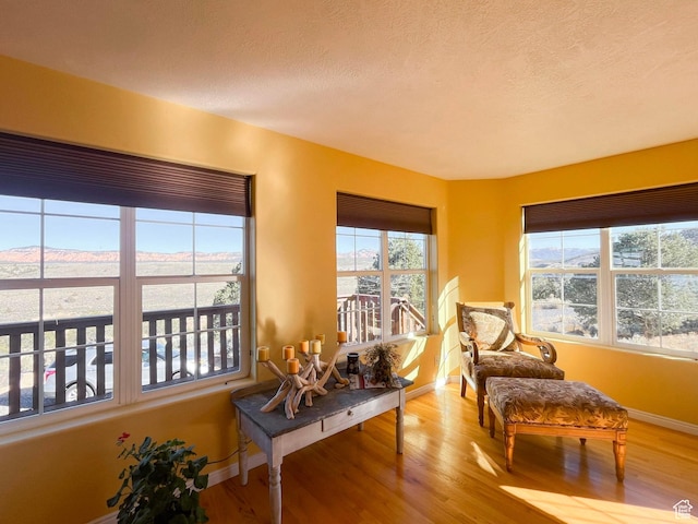 living area featuring baseboards, wood finished floors, and a healthy amount of sunlight