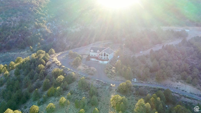 bird's eye view with a view of trees