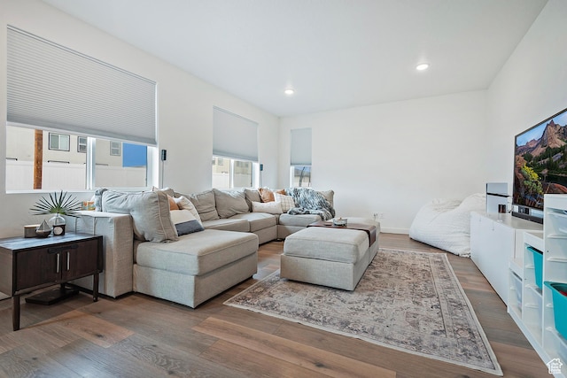 living room with wood finished floors and recessed lighting