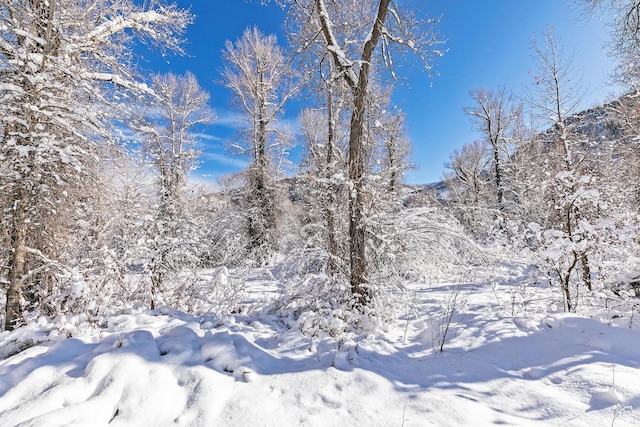 2600 E Weber Canyon Rd, Oakley, UT 84055