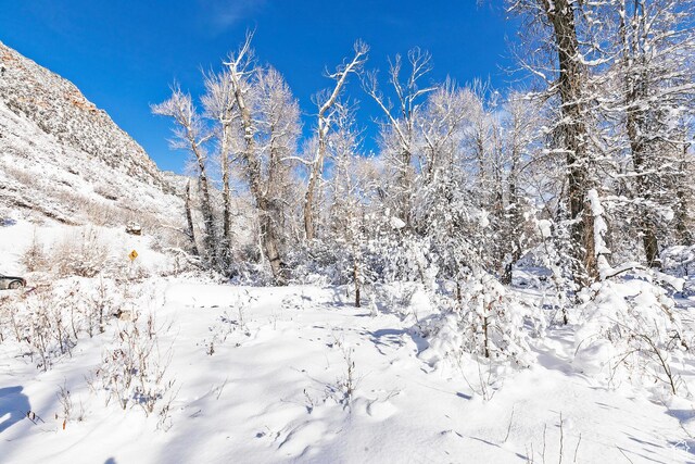 2600 E Weber Canyon Rd, Oakley, UT 84055