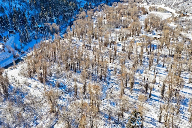 2600 E Weber Canyon Rd, Oakley, UT 84055