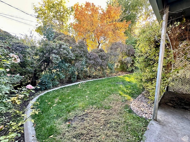 516 S Freedom Blvd, Provo, UT 84601 - view of yard
