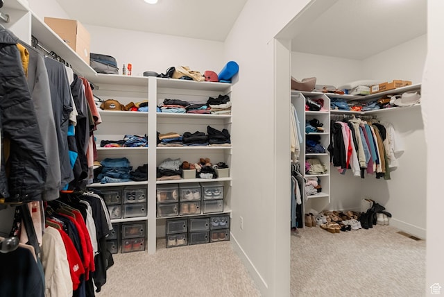 628 S 1080 E, Smithfield, UT 84335 - spacious closet with carpet floors