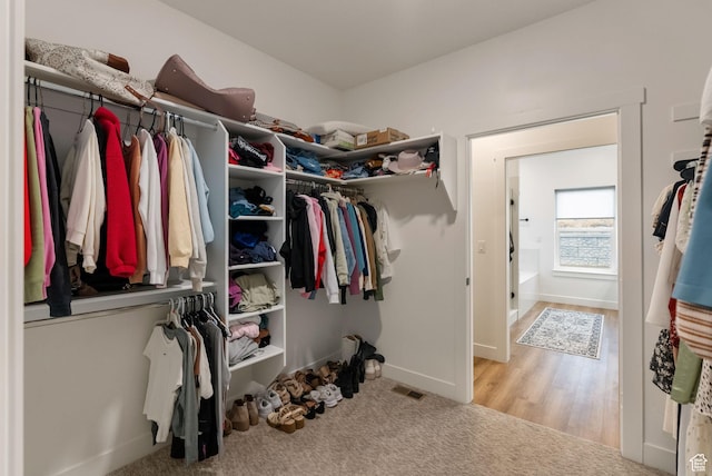 628 S 1080 E, Smithfield, UT 84335 - walk in closet with carpet