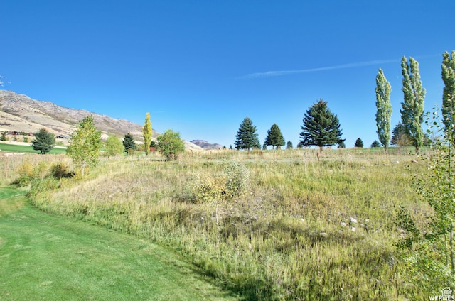 3612 N Huntsman Path Unit 603, Eden, UT 84310 - view of yard featuring a mountain view and a rural view