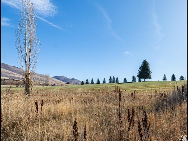 3612 N Huntsman Path Unit 603, Eden, UT 84310 - view of yard featuring a mountain view and a rural view