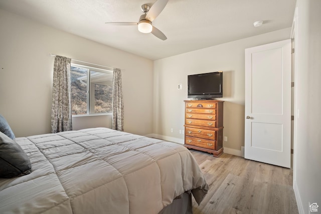 24 S 900 E, Hyde Park, UT 84318 - bedroom with light wood-style flooring, baseboards, and a ceiling fan